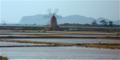 Windmill Marsala